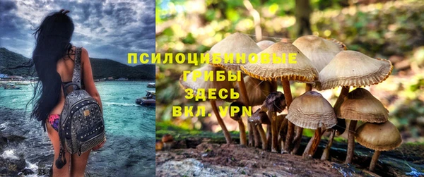 ешки Дмитров