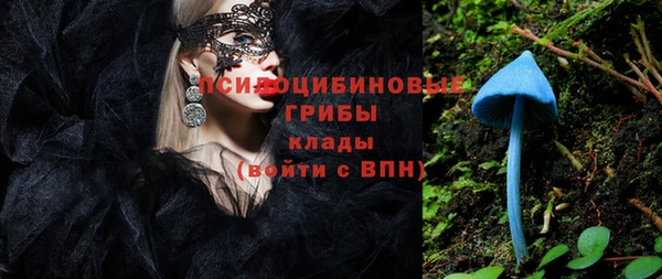 ешки Дмитров