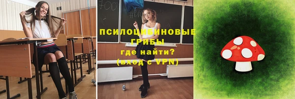СК Дмитриев